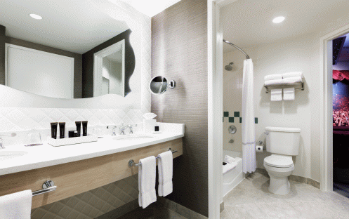 Hard-Rock-Hotel-Universal-Orlando-Future-Rock-Royalty-Suite-Washroom
